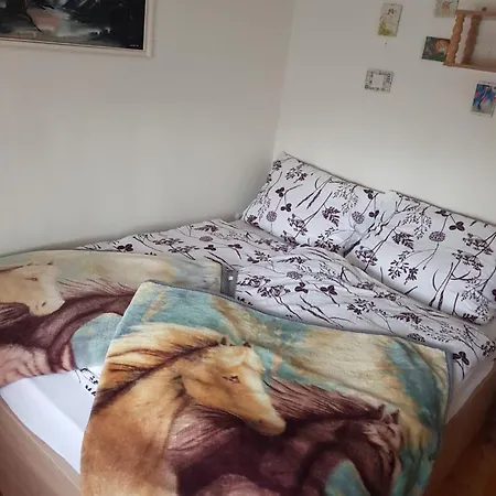 Kristof * 기에네스디아스